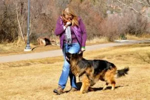 A person holding a canister of bear spray while walking their dog.