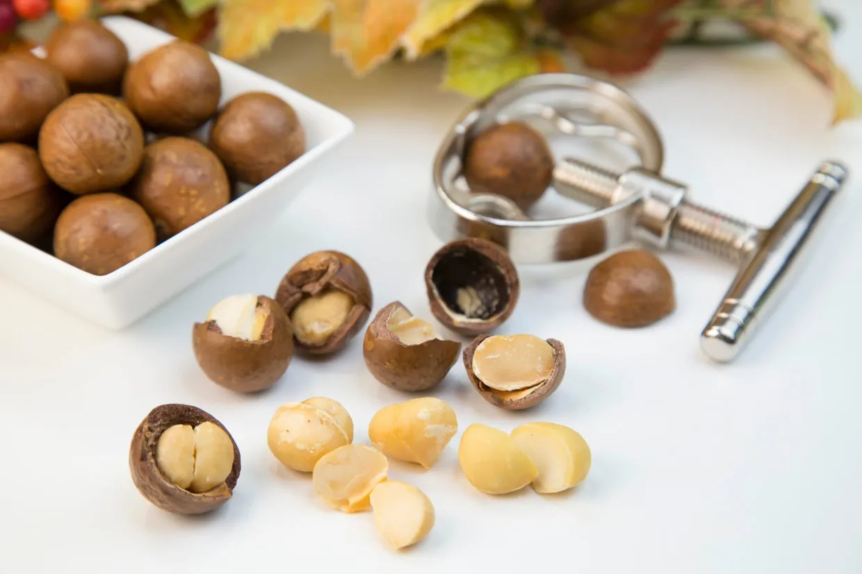 A pile of macadamia nuts.
