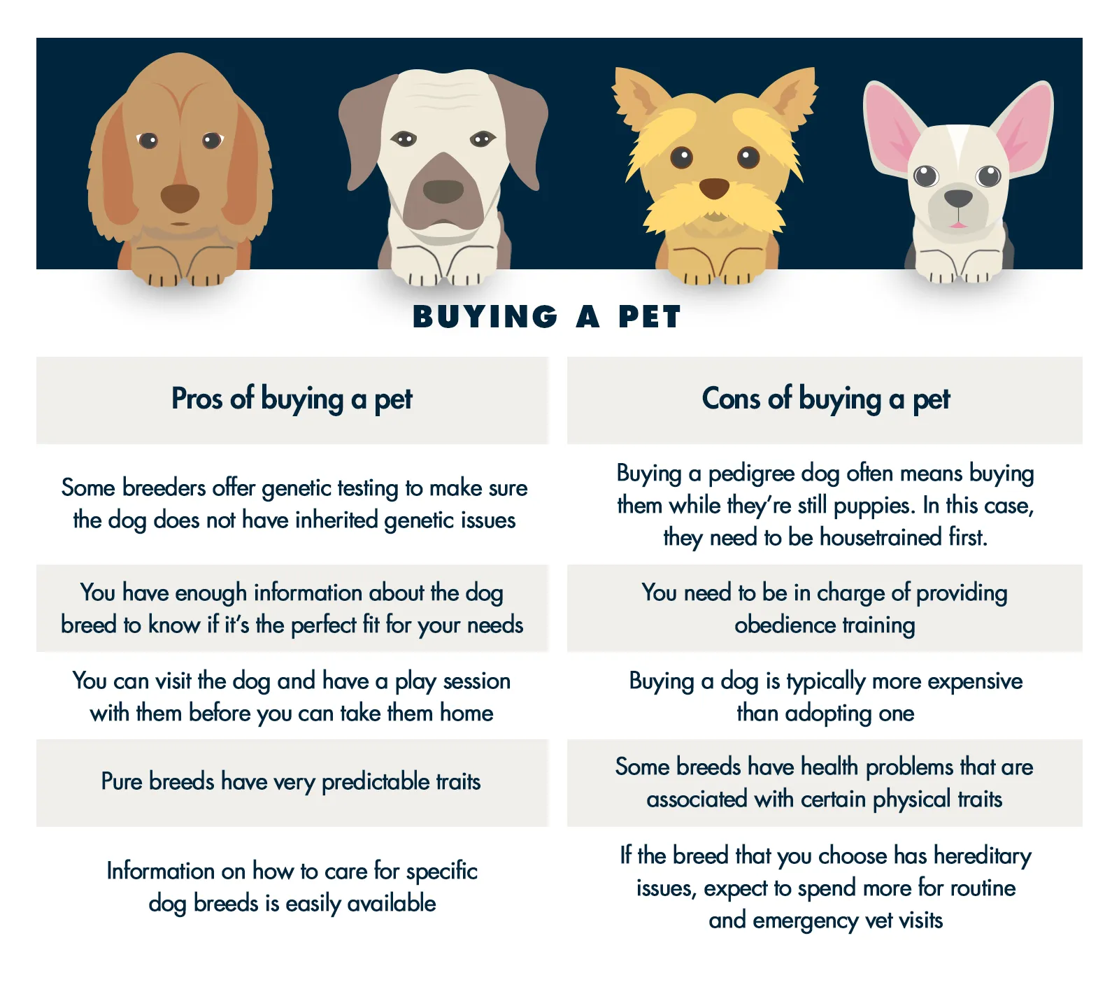 A puppy being held by a person, representing buying a dog from a breeder