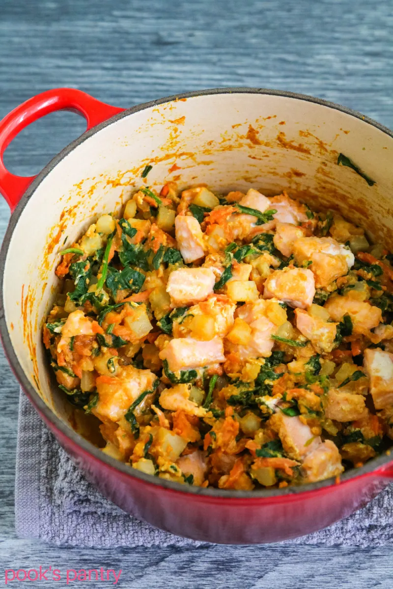 A serving of homemade salmon dog food, ready to be served.