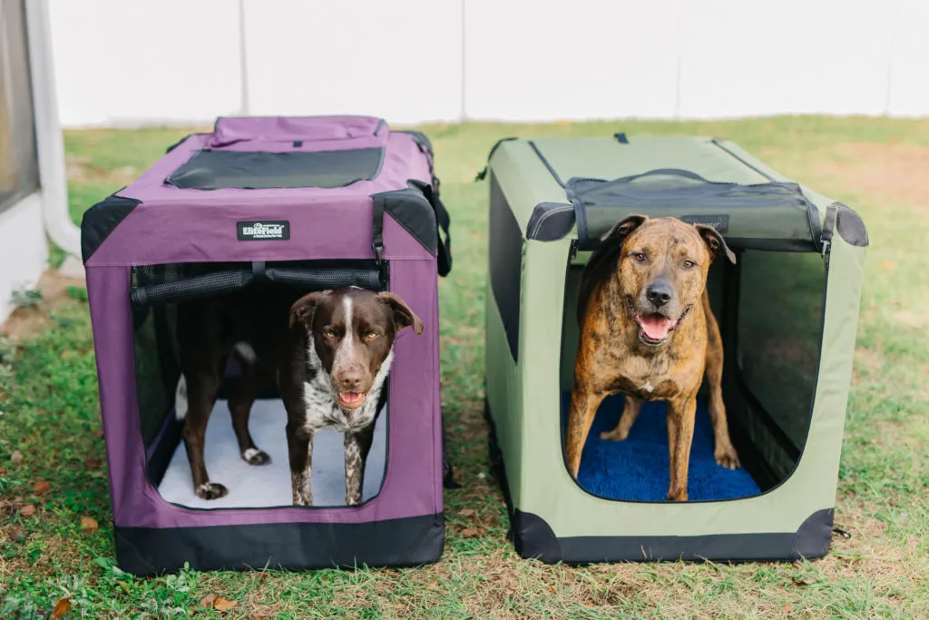 A side-by-side comparison of the EliteField and Noz2Noz soft-sided dog crates, showing identical sizing.