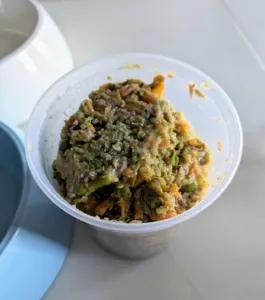 A single container of finished homemade dog food, ready to be served.