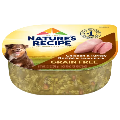 A small dog happily eating from a food bowl