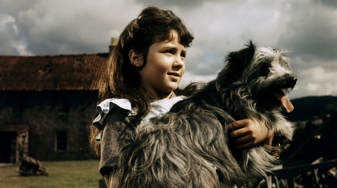 A statue of Grayfriar's Bobby, the loyal Skye Terrier