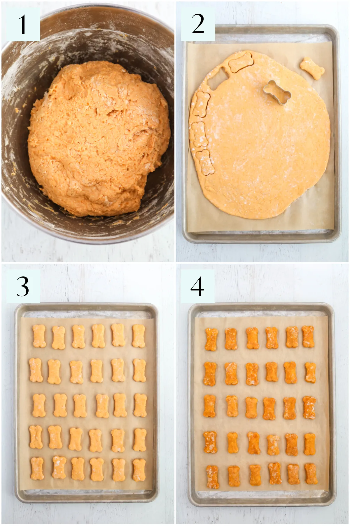 A step-by-step visual guide showing the process of making soft pumpkin dog treats, ideal for senior dogs.
