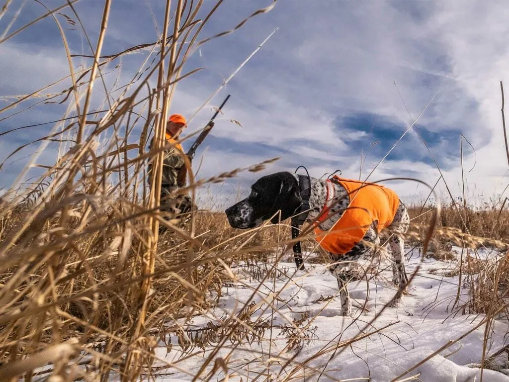 A strong bond with your hunting partner enhances both field performance and home life.