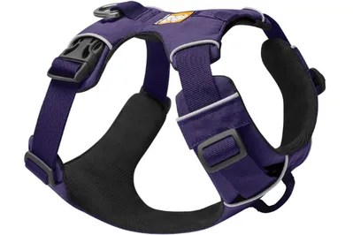 A sturdy dog harness securely fitted on a large breed dog, showcasing its durability and comfortable design.