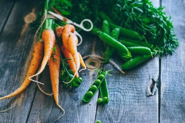 A variety of healthy vegetables that dogs can enjoy, including carrots and peas