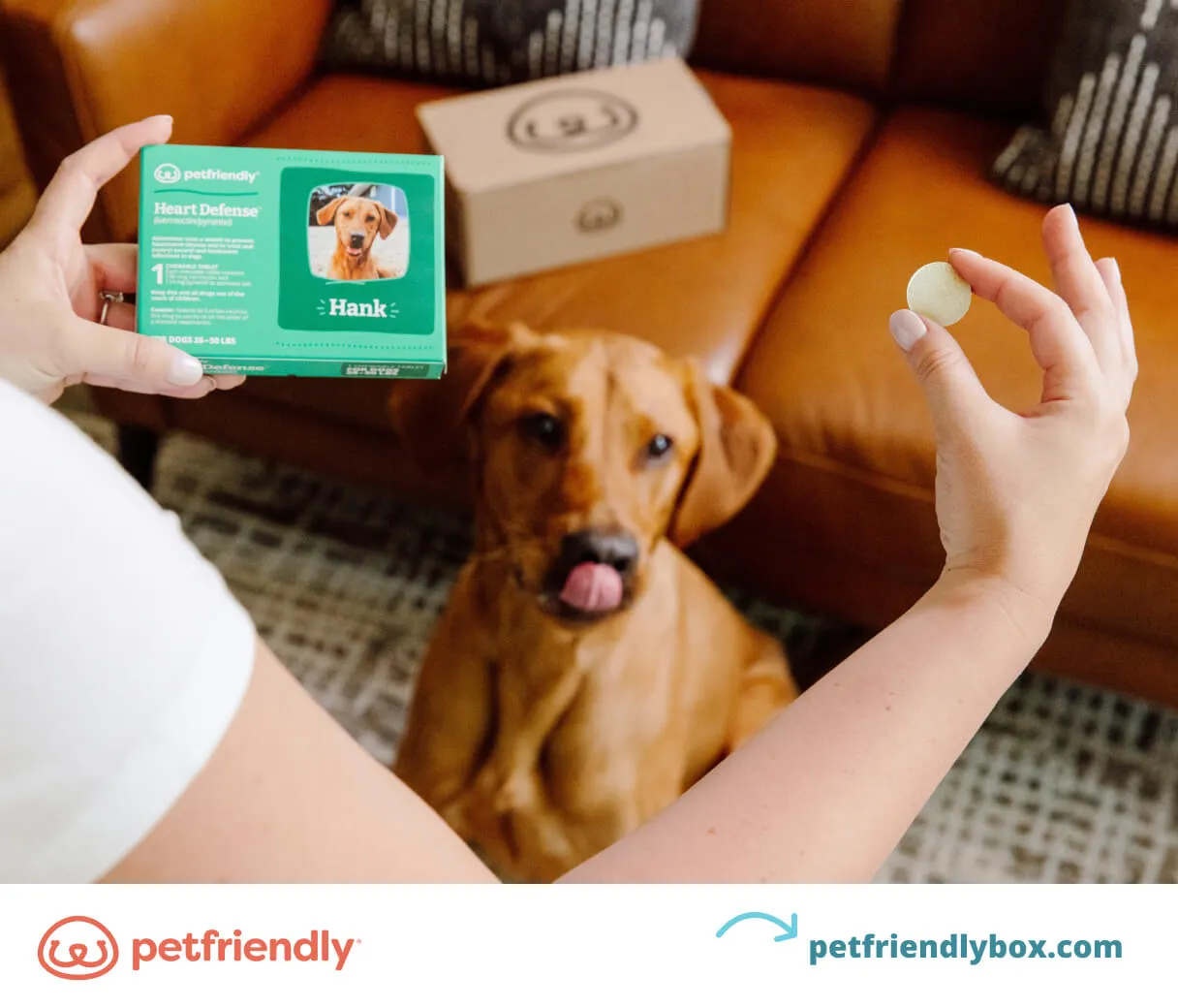 A variety of heartworm medication packaging