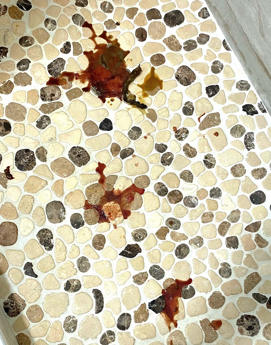 A veterinarian examines a puppy's stool sample under a microscope to check for parasites.