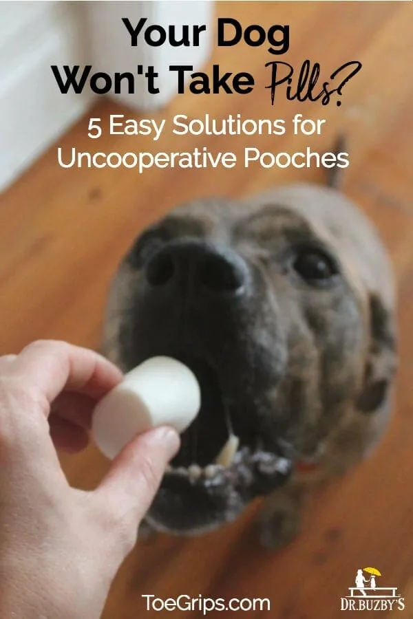 A veterinarian holds a dog's muzzle open to administer a pill.