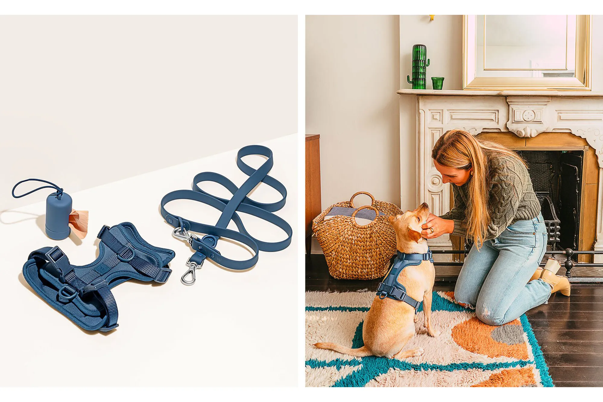 A vibrant display of blue dog leashes and harnesses from Wild One, with a woman petting her dog wearing a Wild One harness, perfect for stylish walks.
