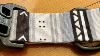 A Wolfgang Man &amp; Beast dog collar, showing that it uses glue for construction rather than traditional stitching, which could affect long-term durability.