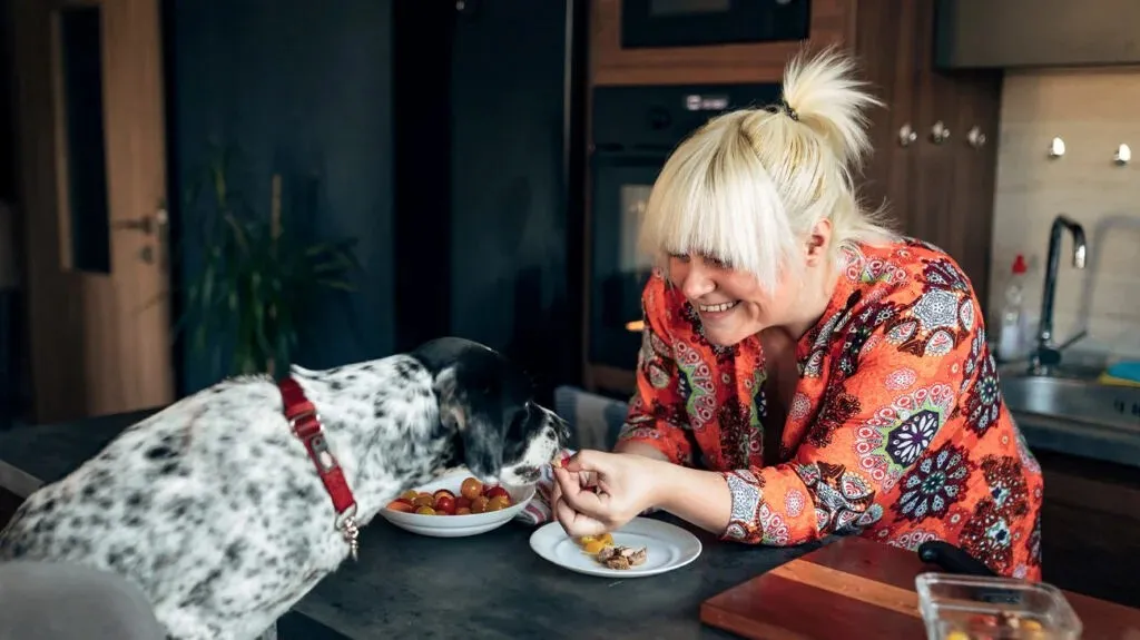 A woman lovingly feeding her charming mixed-breed dog a small treat from her hand, emphasizing the bond between pet and owner.