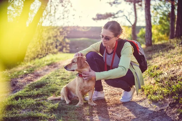 A woman picking a tick off her dog's fur.