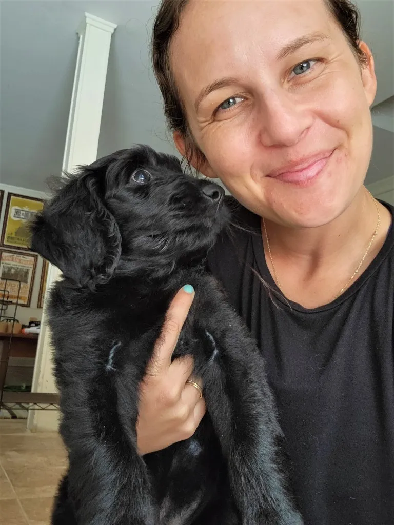 Adorable Labradoodle puppy sitting, highlighting flexible Rover pet care