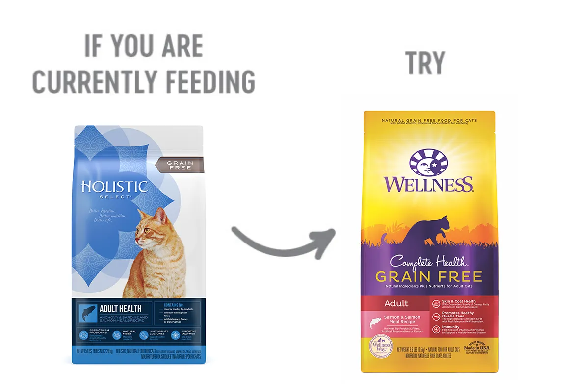 Adult Anchovy and Sardine Meal Dog Food Recommendation