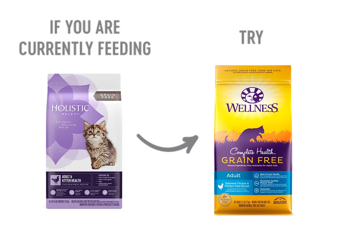 Adult and Puppy Chicken Meal Dog Food Recommendation