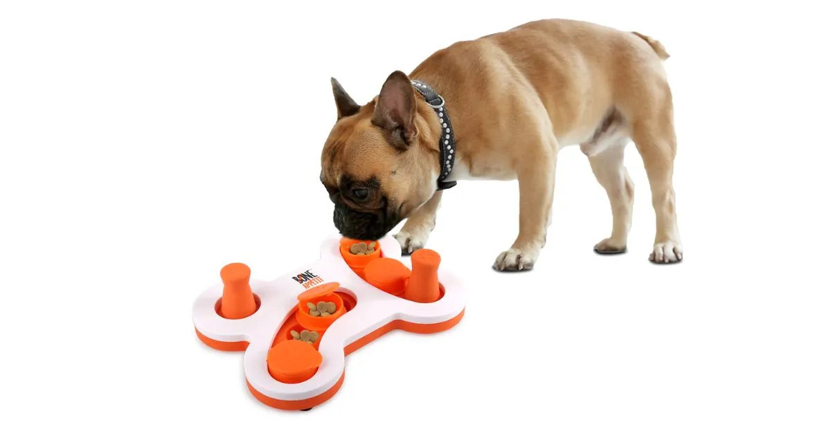 All For Paws Bone Appetit Flip'N'Slide