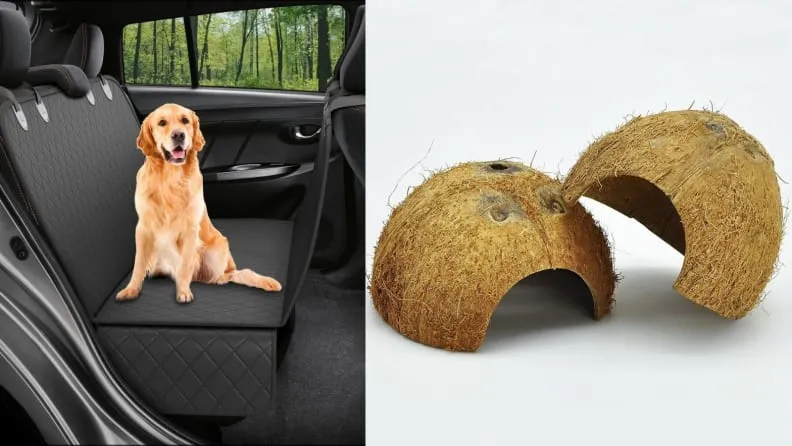 Amazon offers an extensive selection of pet supplies for all types of animals.