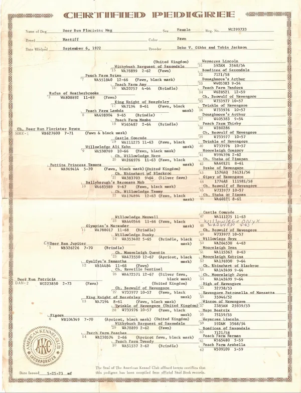 An early Deer Run pedigree, from 1972, Deer Run Florister Meg.
