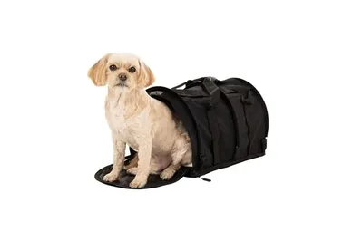 An image showing the inside of a pet carrier with a padded mat.