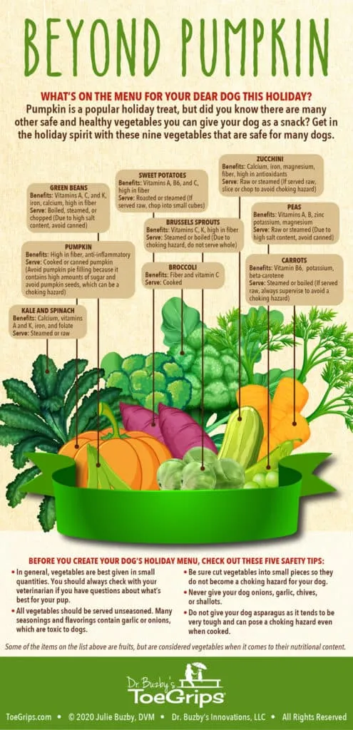 An infographic detailing healthy vegetables dogs can eat and their benefits, like green beans and carrots.