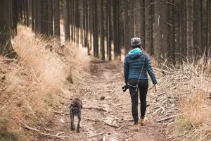 An older dog hiking with its owner