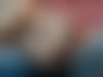 An older dog with gentle eyes looking directly at the camera