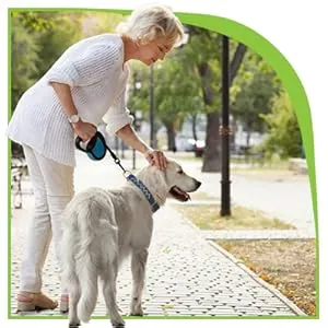 An older woman gently petting her large, senior dog