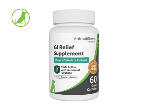 Animal Biome GI Relief, a unique probiotic, prebiotic, and phage blend for comprehensive gut support, indirectly aiding dog skin allergies.