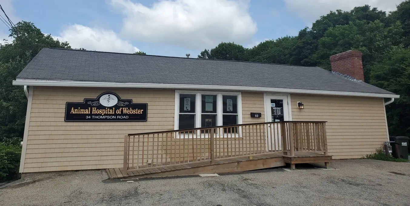 Animal Hospital of Webster Exterior