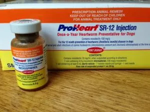 Annual heartworm injection for dogs