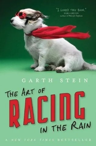 art of racing in the rain