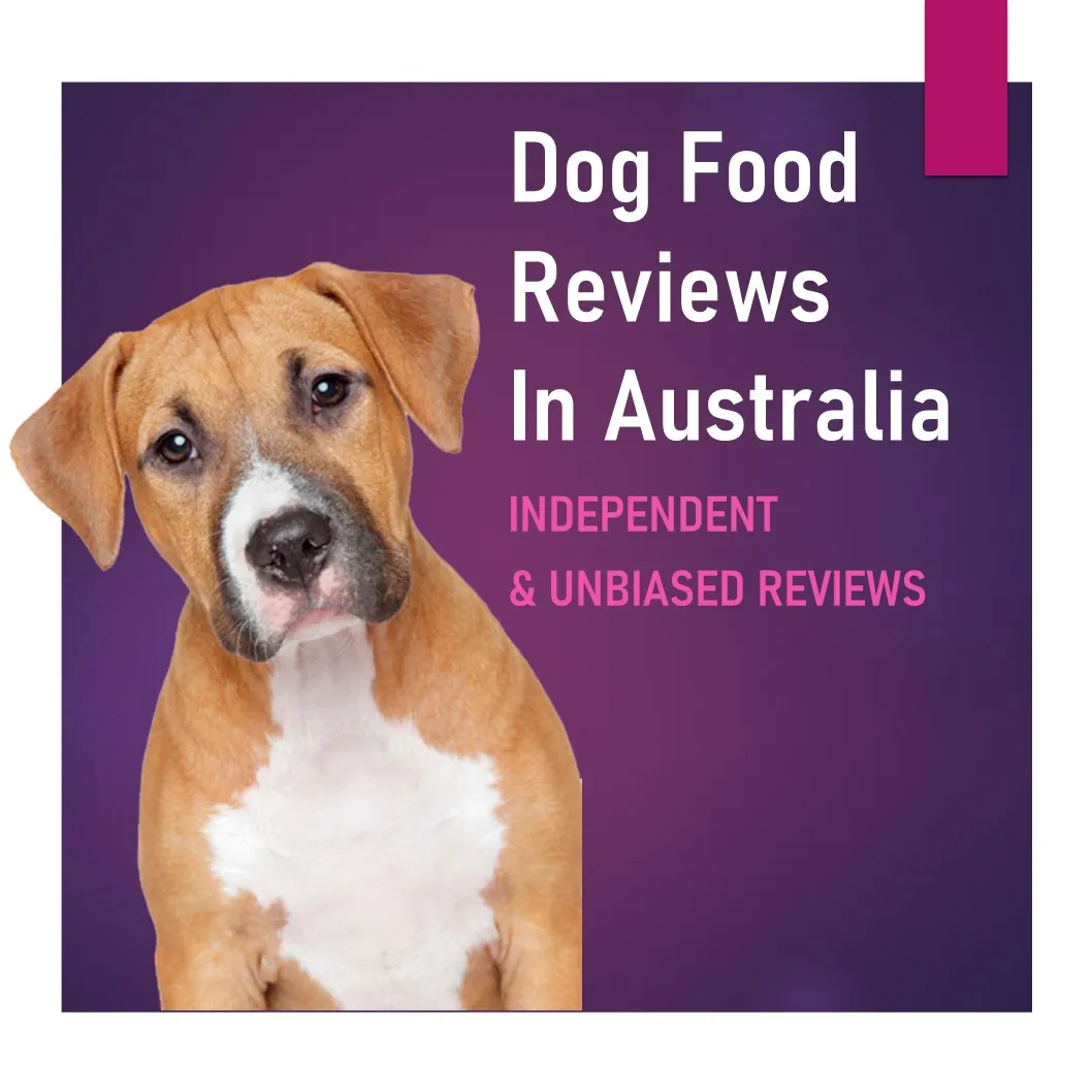 Assortment of premium puppy dry food bags available for review in Australia