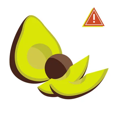 Avocado sliced open
