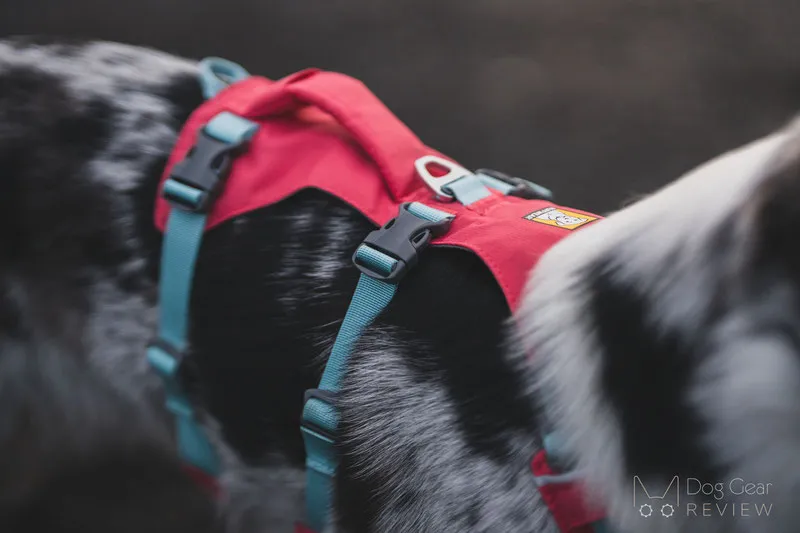 Back view of the Ruffwear Flagline harness with aluminum V-ring leash attachment and padded handle