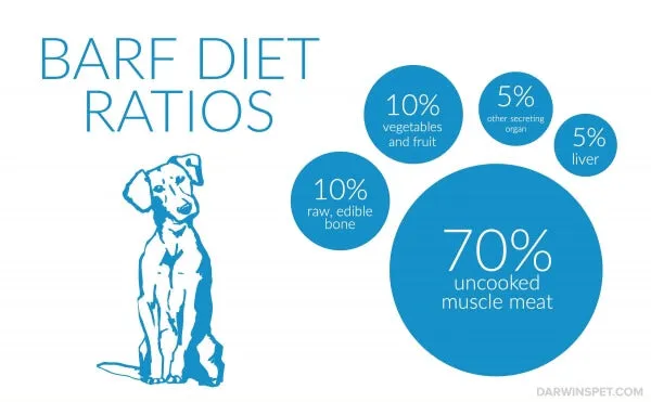 BARF diet ratios for feeding