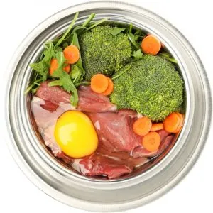 best dog food for Dachshunds dachshund space