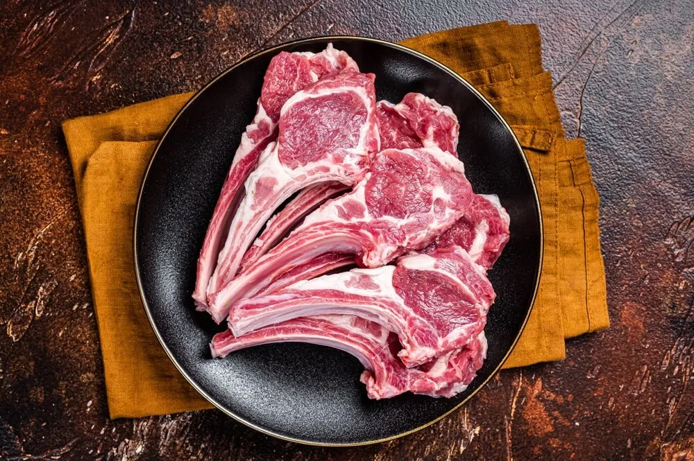 Best Lamb and Rice Dog Food for Sensitive Stomachs
