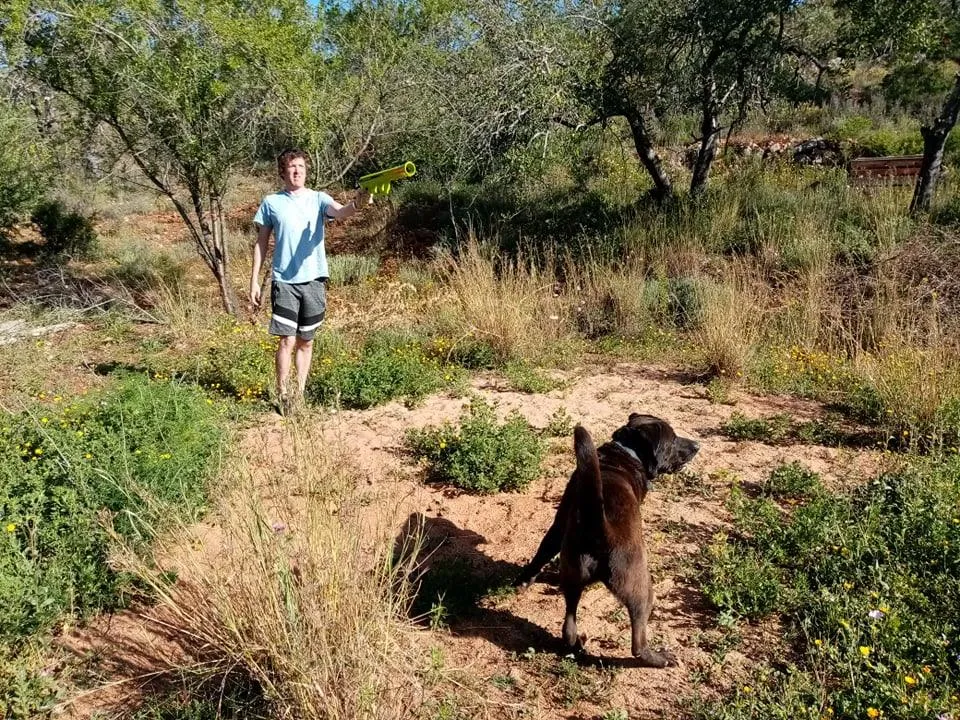 Black Nero the dog looking excited to play fetch