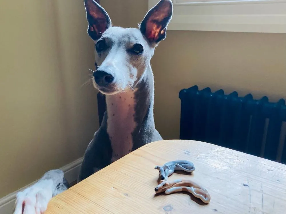 Blinkin Bean custom dog figurine