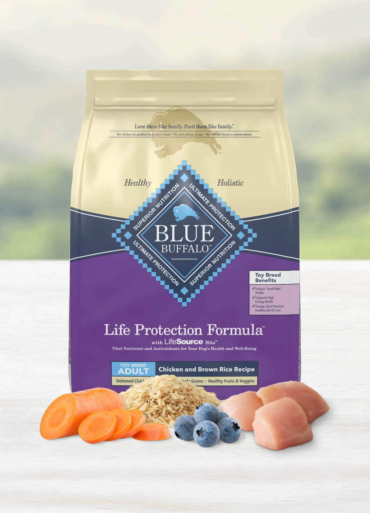 Blue Buffalo Life Protection Formula Toy Breed Adult Chicken and Brown Rice Recipe Dog Dry Food