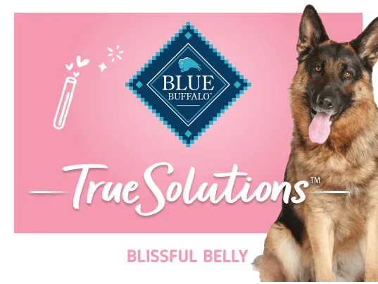 blue true solutions digestive care chicken & oatmeal recipe dog dry food