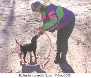 BoJangles hoop.jpg