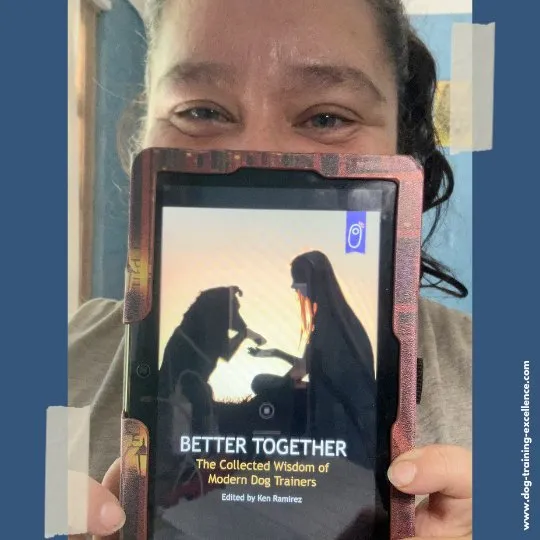Book cover for "Better Together"