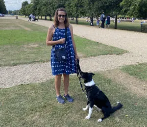 Border collie puppy training exercises