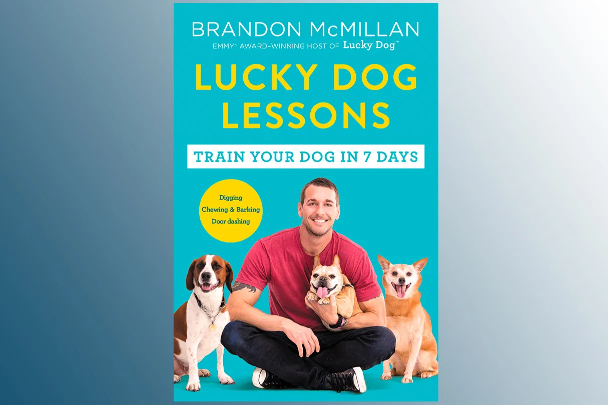 Brandon McMillan's Lucky Dog Lessons, a top dog training book in the UK for effective puppy behaviour training