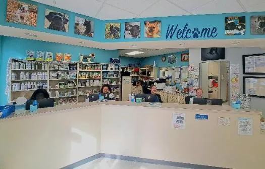 Bright and clean interior of a veterinary waiting room or reception area