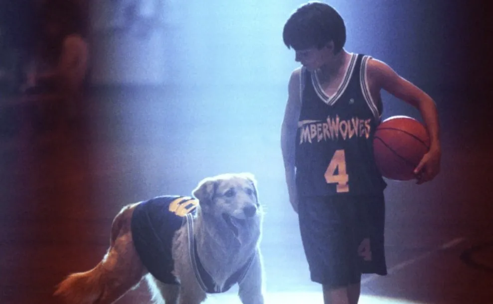 Buddy the Golden Retriever playing basketball